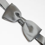 Noeud papillon de couleur unie | Argent