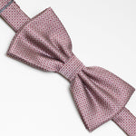 Papillon Fantasia | Bordeaux