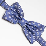 Papillon Fantasia | Celeste Scuro