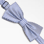 Papillon Fantasia | Bianco Azzurro