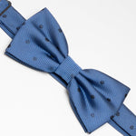 Papillon Fantasia | Blu Chiaro Poua