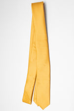 Solid Color Tie | Gold